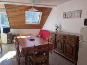 Chalet familial à Cauterets avec chambres spacieuses - FR-1-812-58